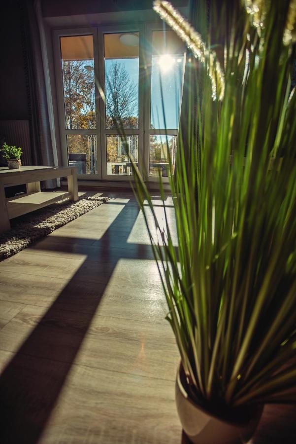 View Apartamento